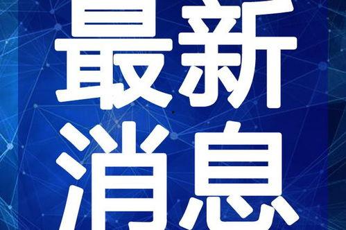 淮滨网友爆料事件视频最新,最新事件视频引发热议,真相究竟如何?